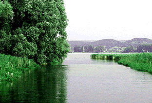 Aach fließt nach 15 km in den Bodensee