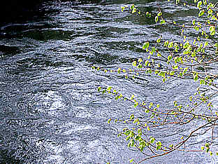 Durch den starken Druck pulsiert das Wasser an der Quelle